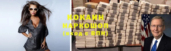 прущие грибы Арсеньев