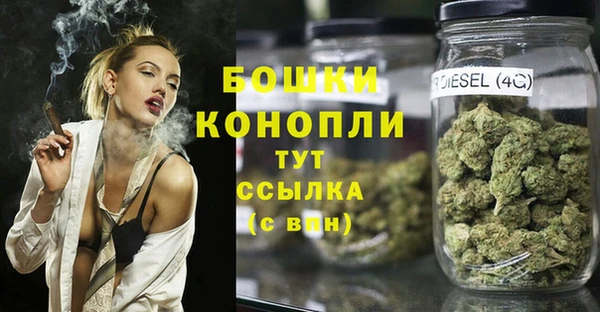 прущие грибы Арсеньев